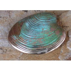 ECP6p Verdigris Patina Solid Brass Clam Shell Pin 