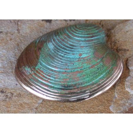 ECP6p Verdigris Patina Solid Brass Clam Shell Pin 