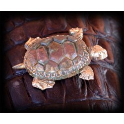 AQP375p Verdigris Patina Solid Brass Large Sea Turtle Pin