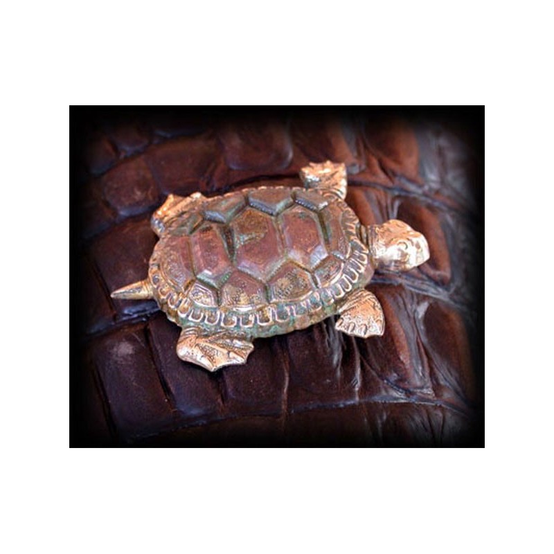 AQP375p Verdigris Patina Solid Brass Large Sea Turtle Pin