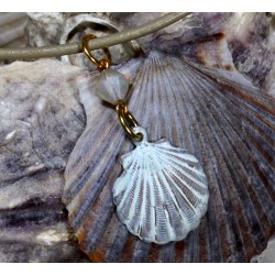 OCW4852pdCR Scallop Shell...